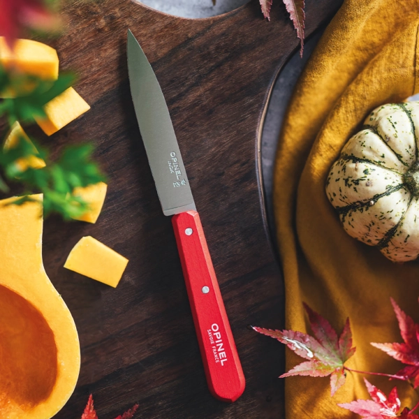 Нож столовый Opinel №112, деревянная рукоять, блистер, нержавеющая сталь, красный 003115