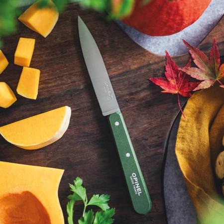 Нож столовый Opinel №112, деревянная рукоять, блистер, нержавеющая сталь, темно-зеленый   003118