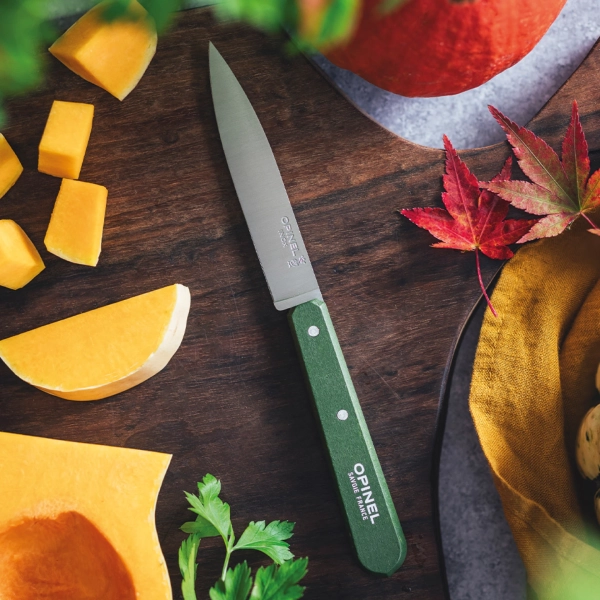 Нож столовый Opinel №112, деревянная рукоять, блистер, нержавеющая сталь, темно-зеленый   003118